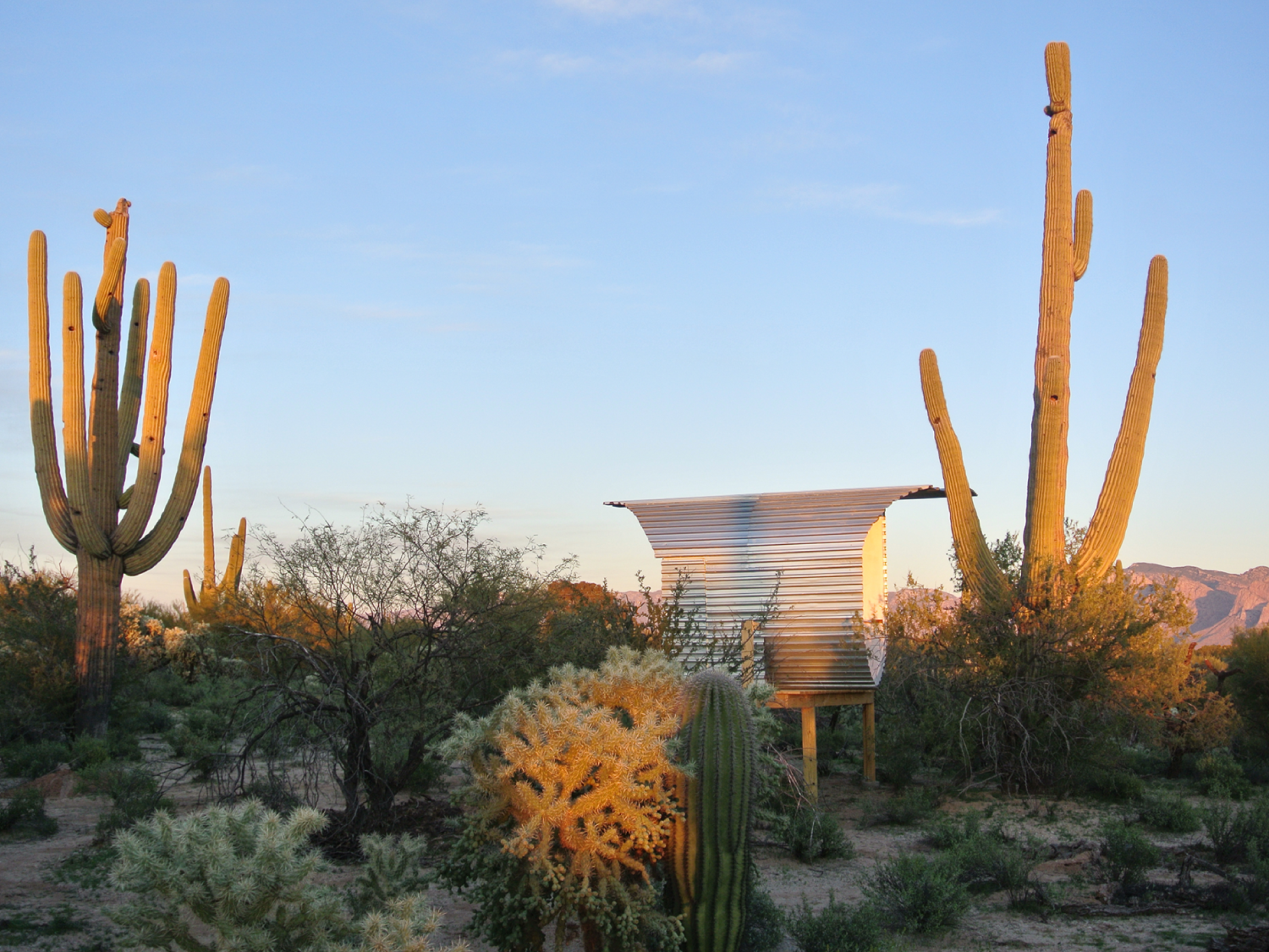 Cacti Cabin, Arizona 2012–17  